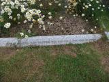 image of grave number 202558